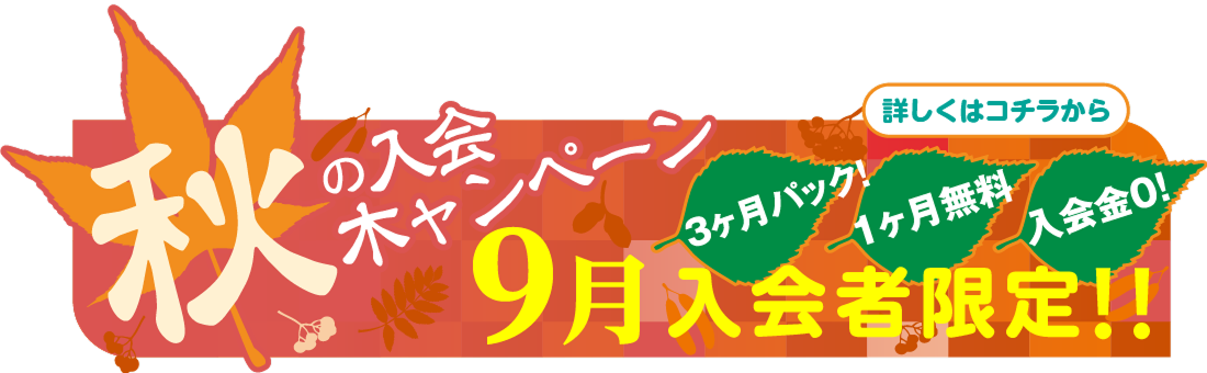 秋の入会　木ャンペーン　3ヶ月パック！　1ヶ月無料　入会金０！　9月入会者限定！！　詳しくはコチラから